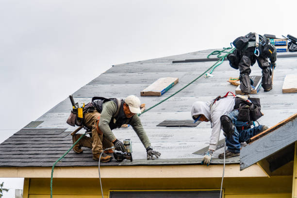 Professional Roofing technician working in Hallsboro, NC